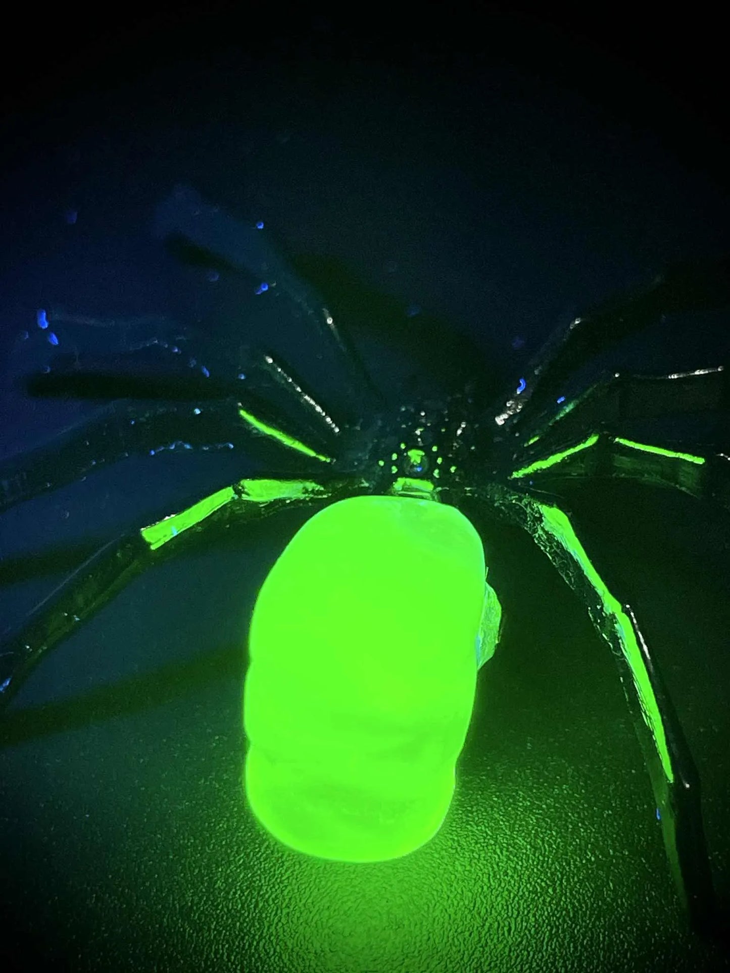 Spider Figurine in Uranium Glass | Yellow Vaseline Glass Arachnid Statue | Eight-Legged Wildlife Bug Animal | Glowing Under UV Light