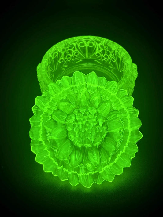 Sunflower Jewelry Box (Summer) From Uranium Glass | Yellow Vaseline Trinket Container | Decorative Helianthus Bloom | Glows Vividly Green Under UV Light
